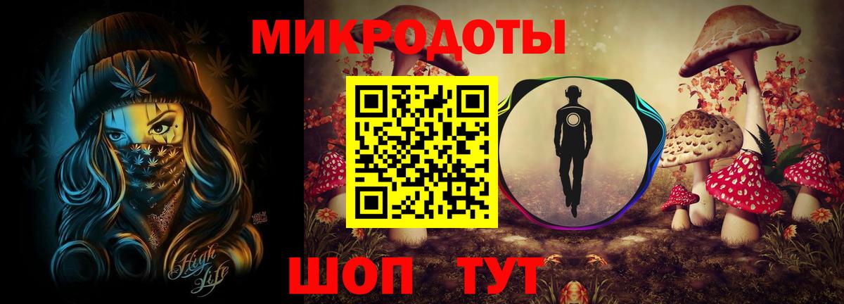 Галлюциногенные грибы Psilocybe Анапа
